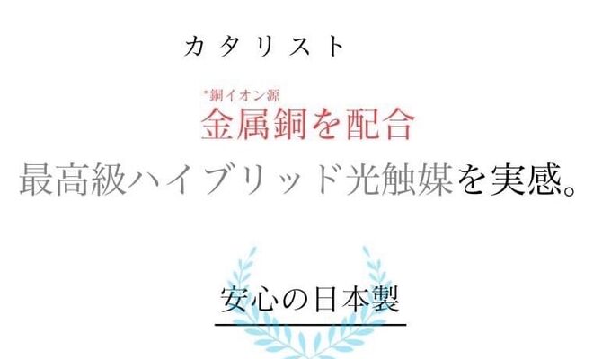 S__53354507